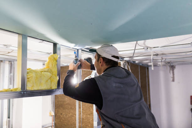 Best Insulation Removal  in Vivian, LA